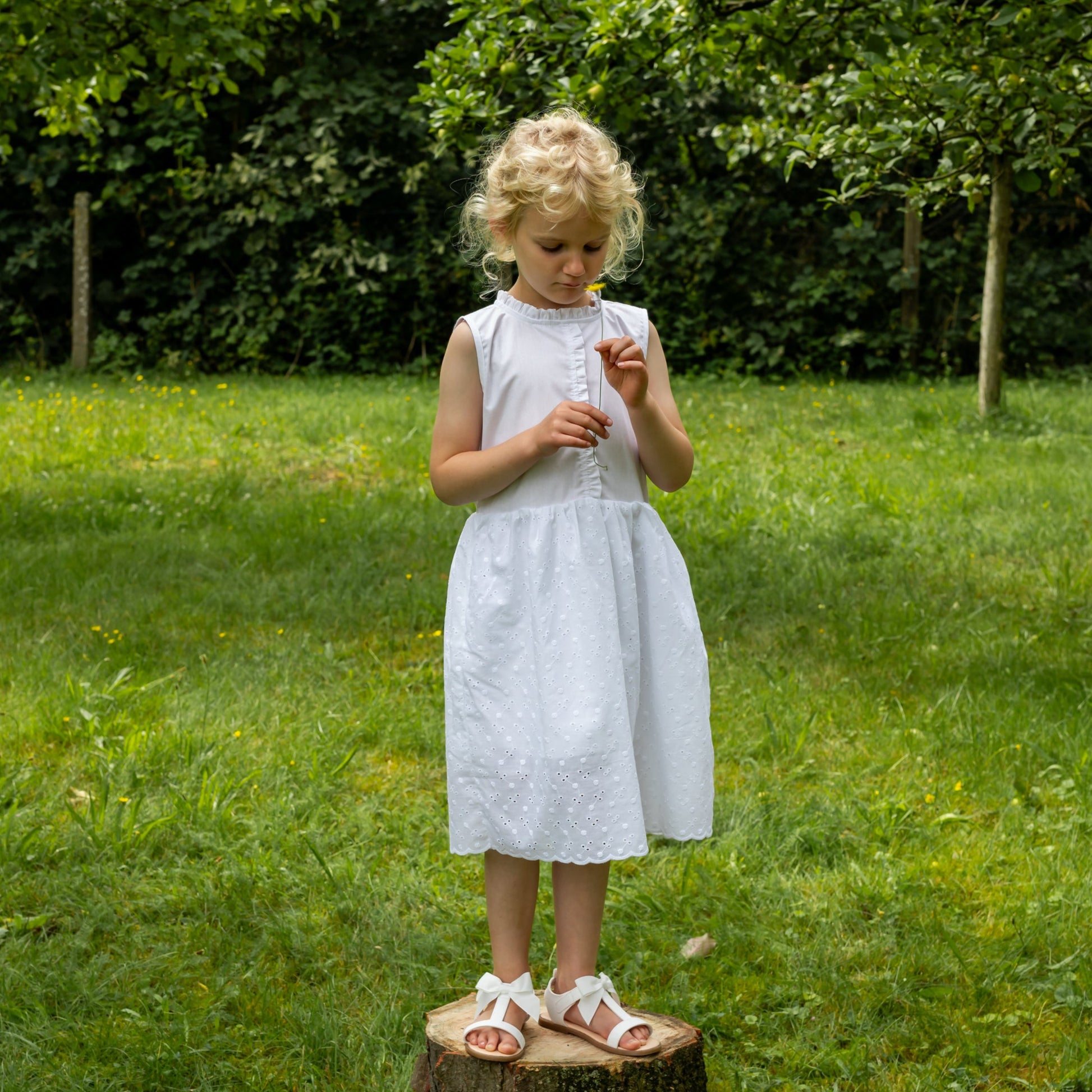weißes Kleid Mädchen Broidery Anglaise