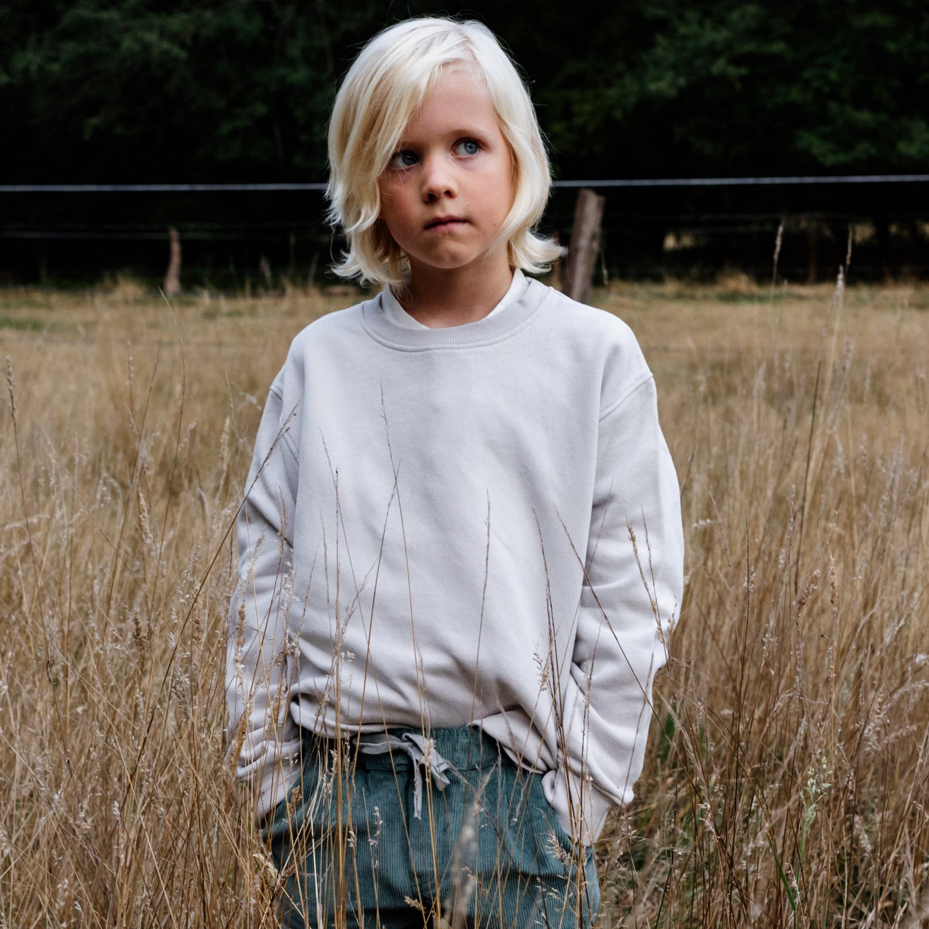 Sweatshirt beige Kinder Bio