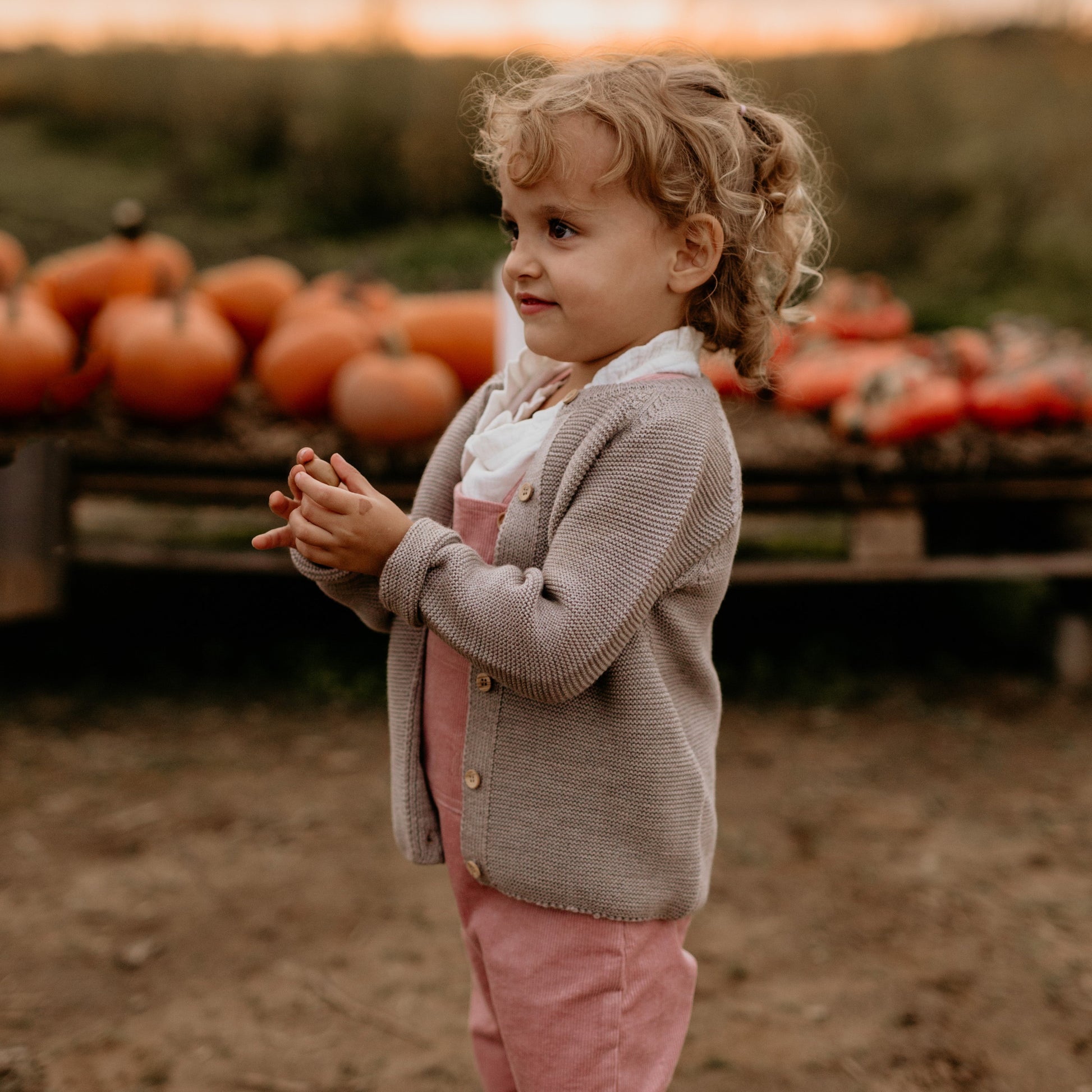 Merino Cardigan